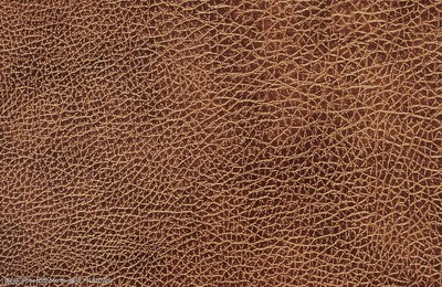 皮革貼圖 虛擬與現(xiàn)實的藝術融合