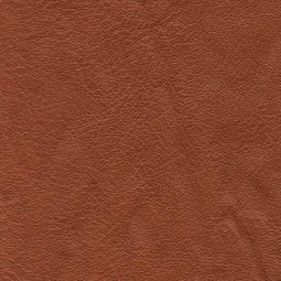 農(nóng)機租賃的創(chuàng)新發(fā)展 皮革貼圖007視角下的行業(yè)洞察